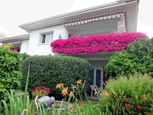 Photo n° 1 of the location