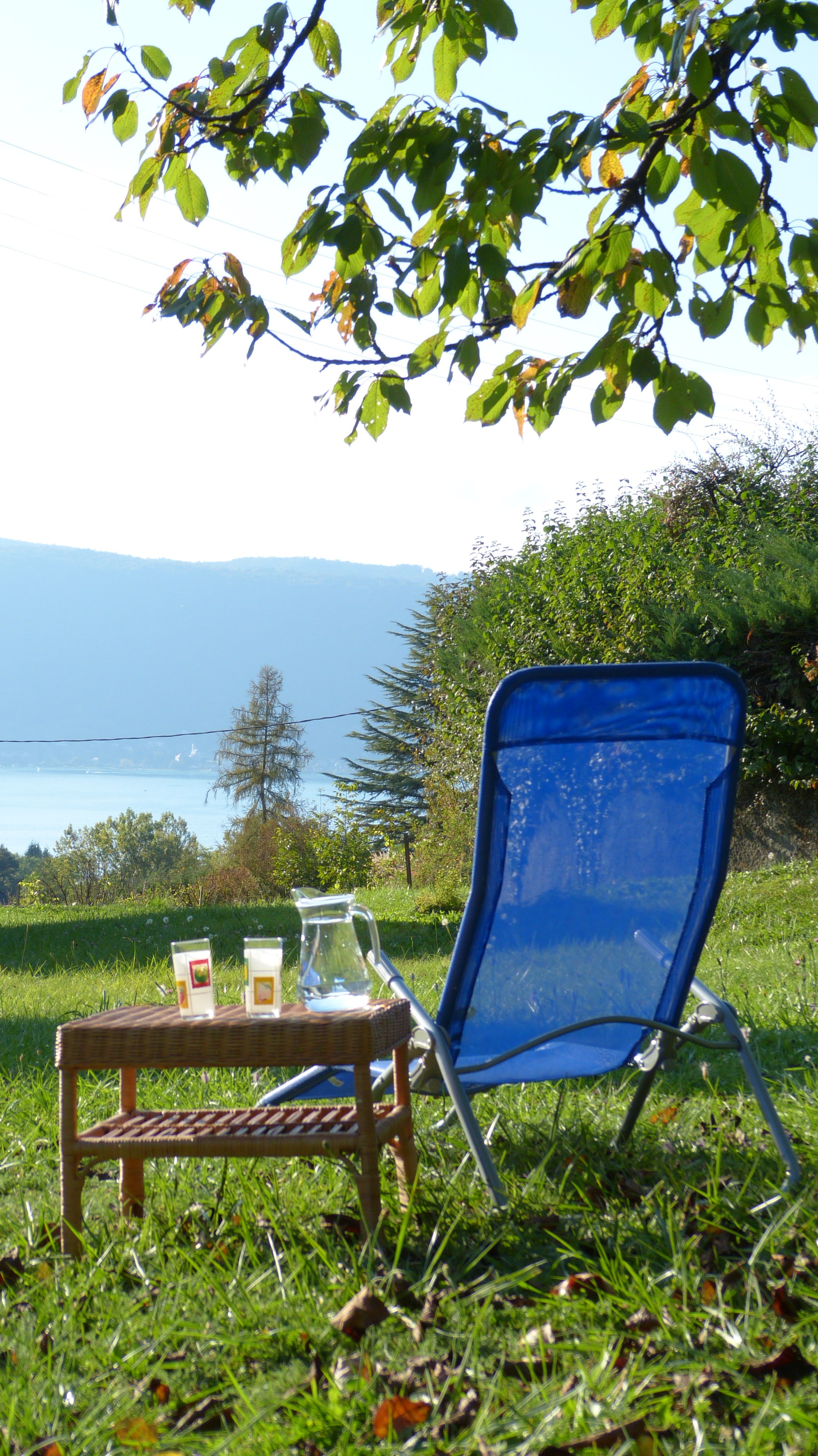 Photo n° 2 de la location