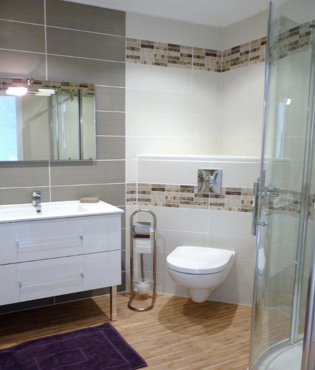 Salle d'eau avec douche et WC.