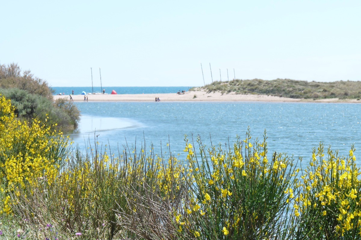 Plage à Portiragnes