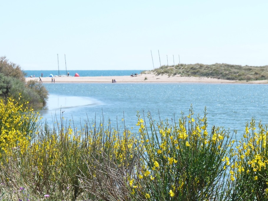 Plage à Portiragnes