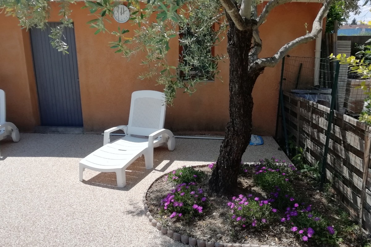 Sous l'olivier au bord de la piscine