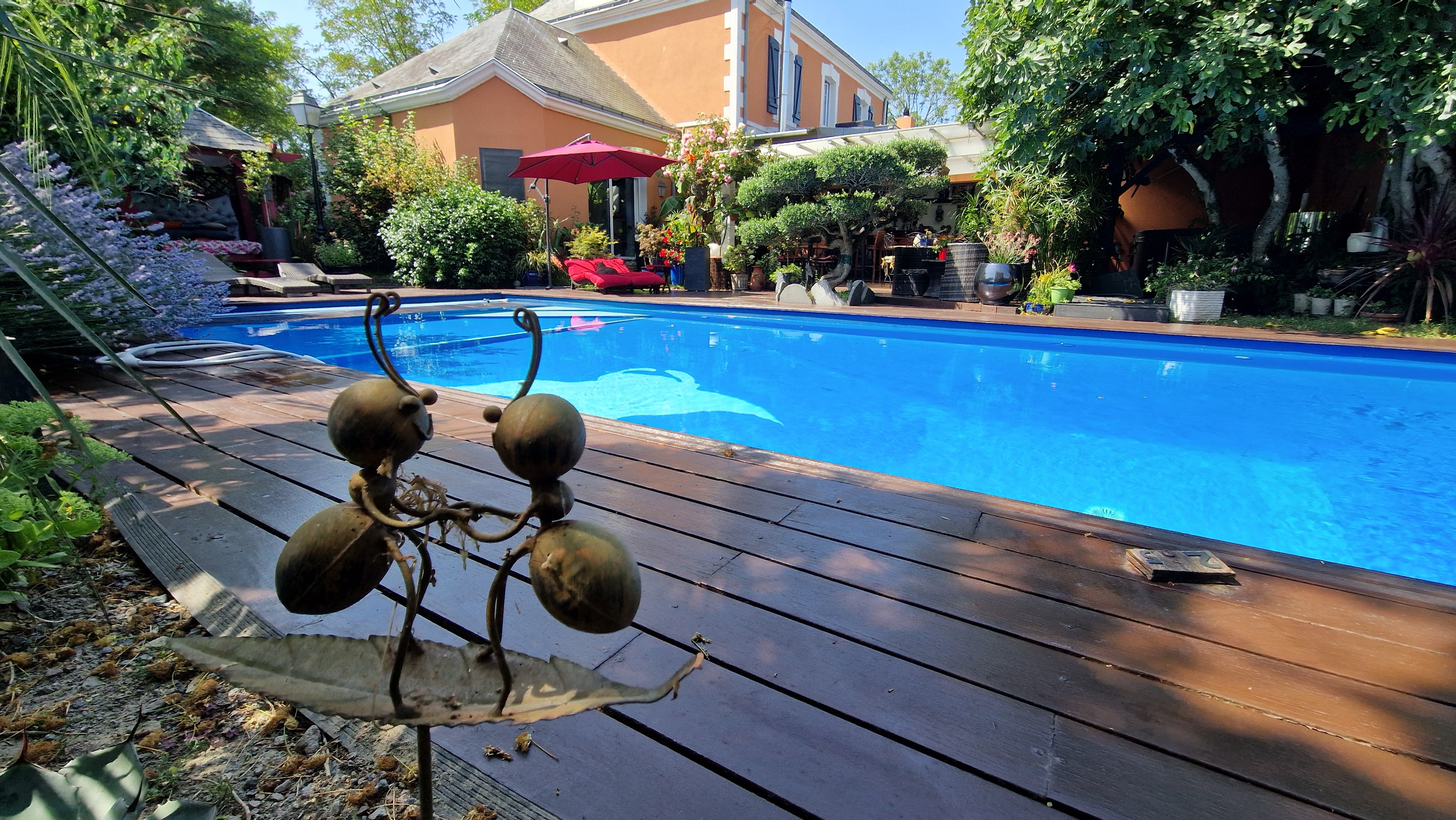 La piscine