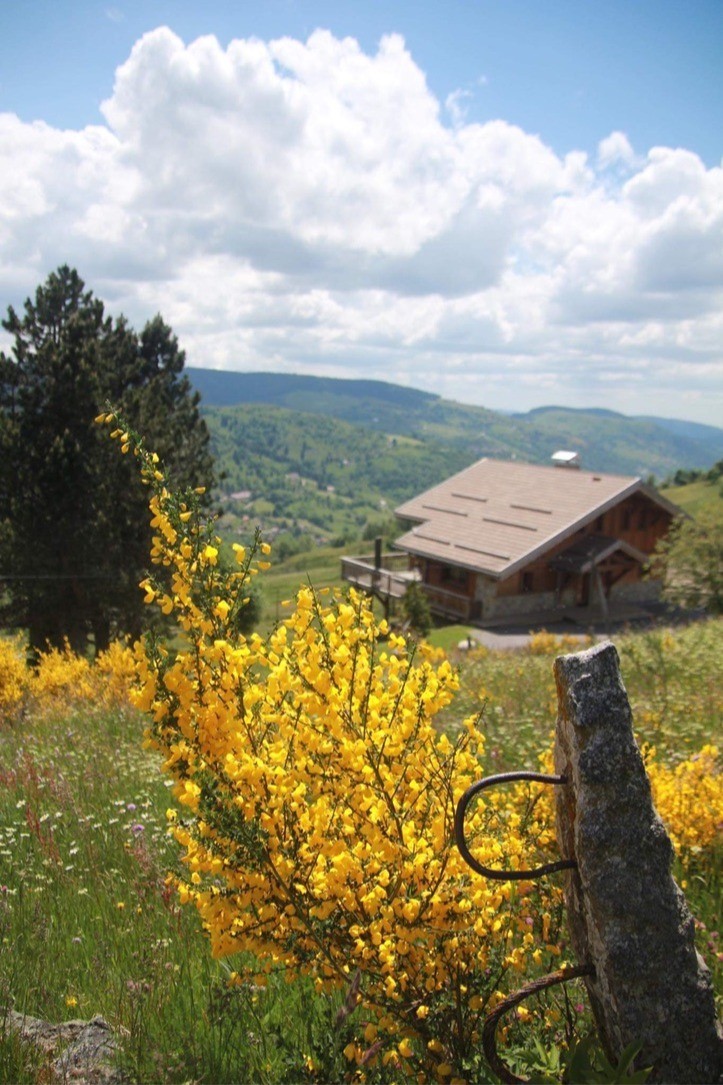 Chalet - Chalet du Paradis Blanc
