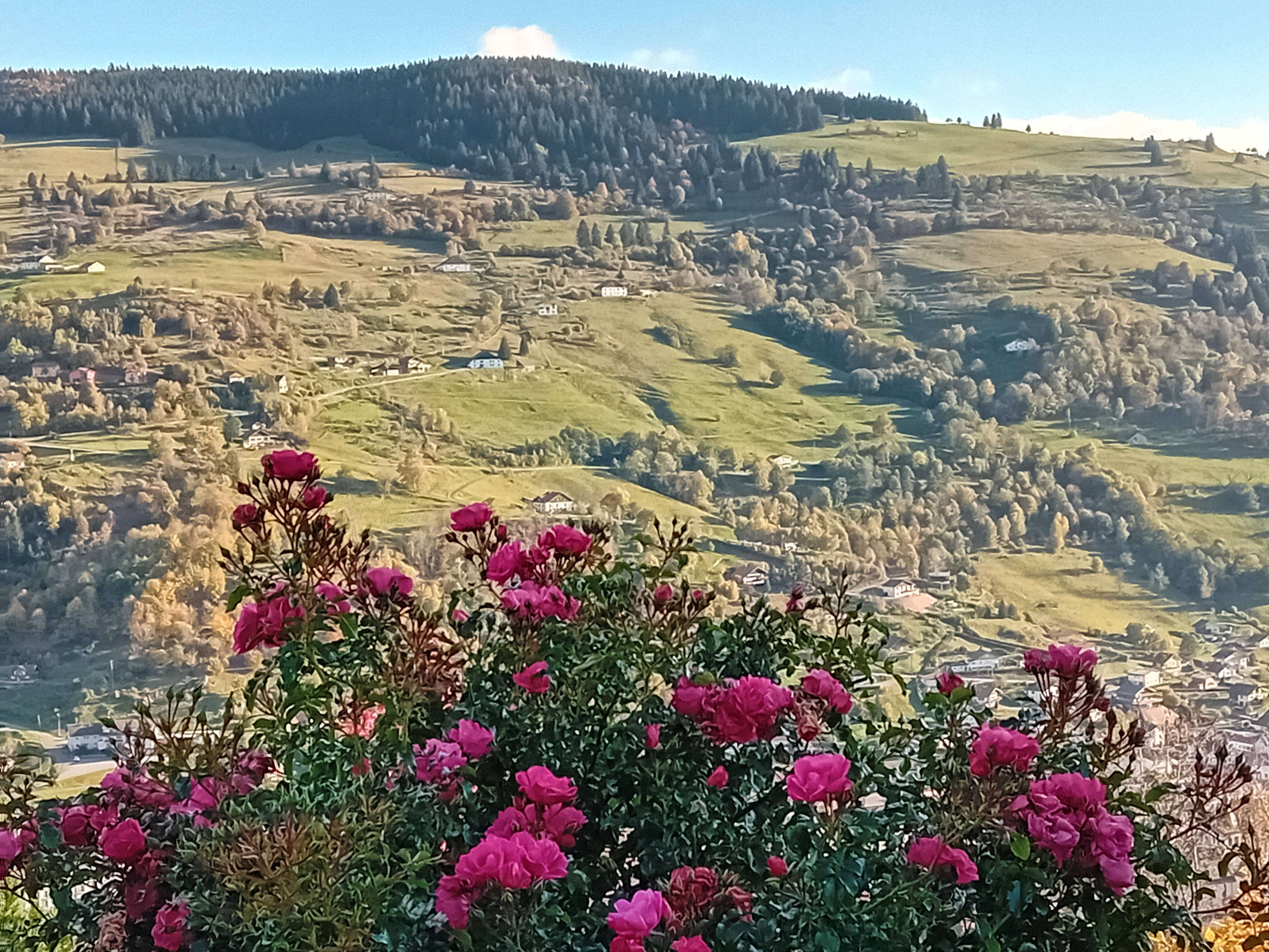 La Bresse depuis la maison