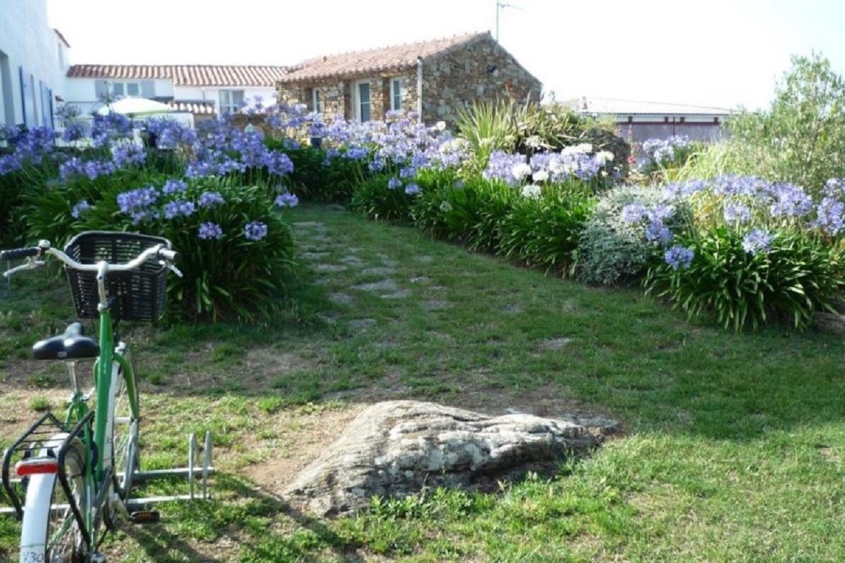 Photo n° 1 de la location