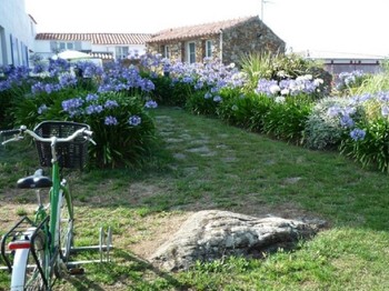 Photo n° 1 of the location