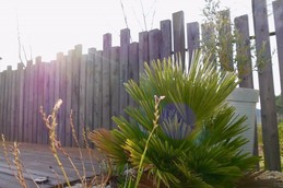 Image n° 3 de la location