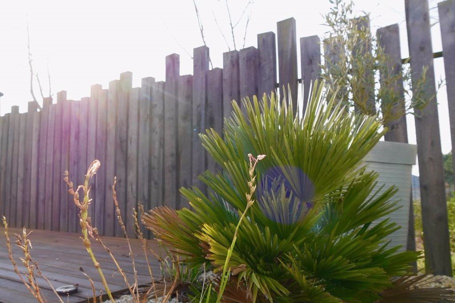 Photo n° 3 de la location