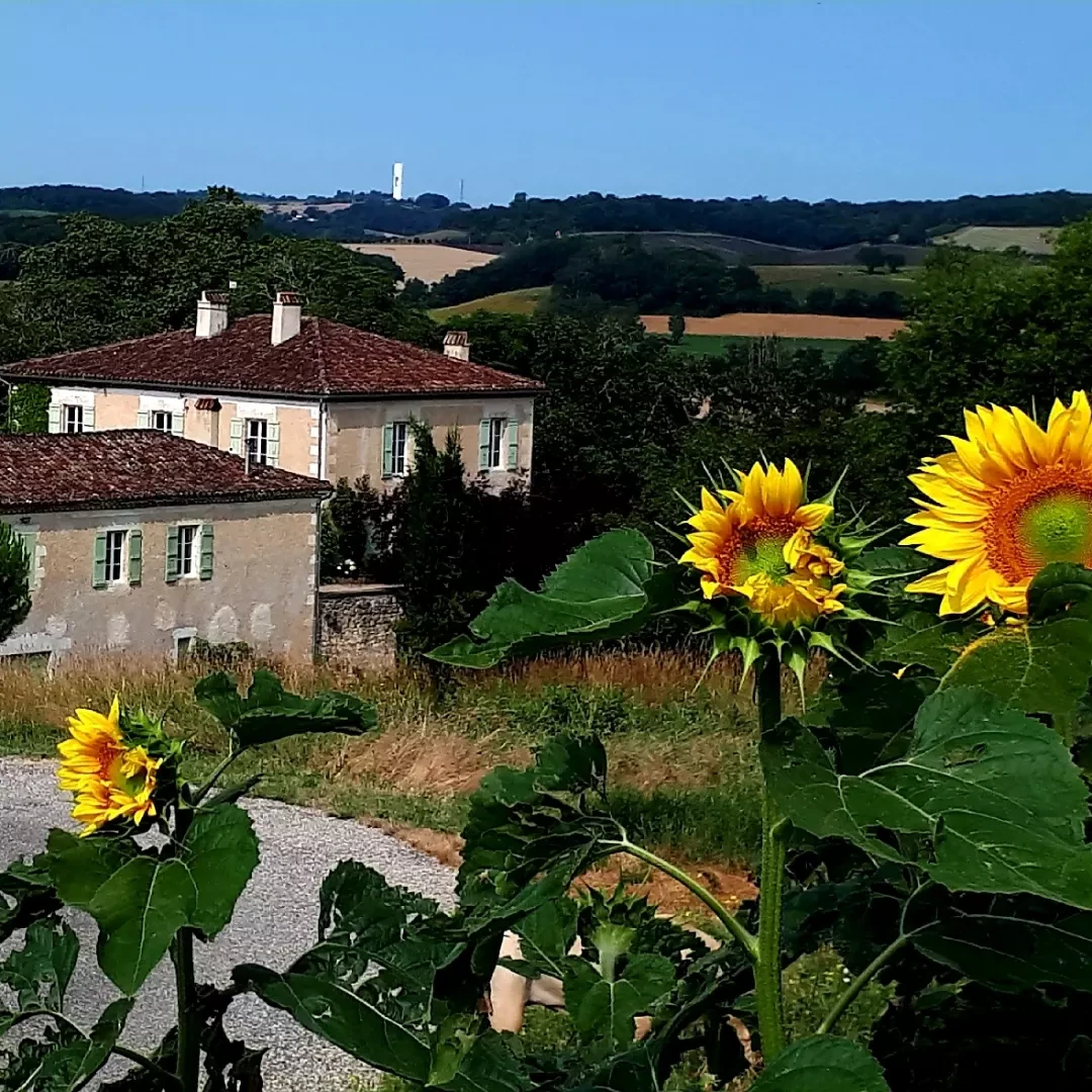maison de location