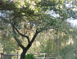 Image n° 3 de la location