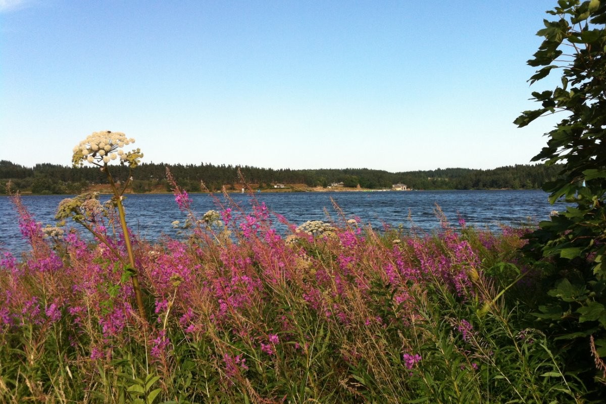 Le lac de Saint Front à quelques minutes de Moudeyres