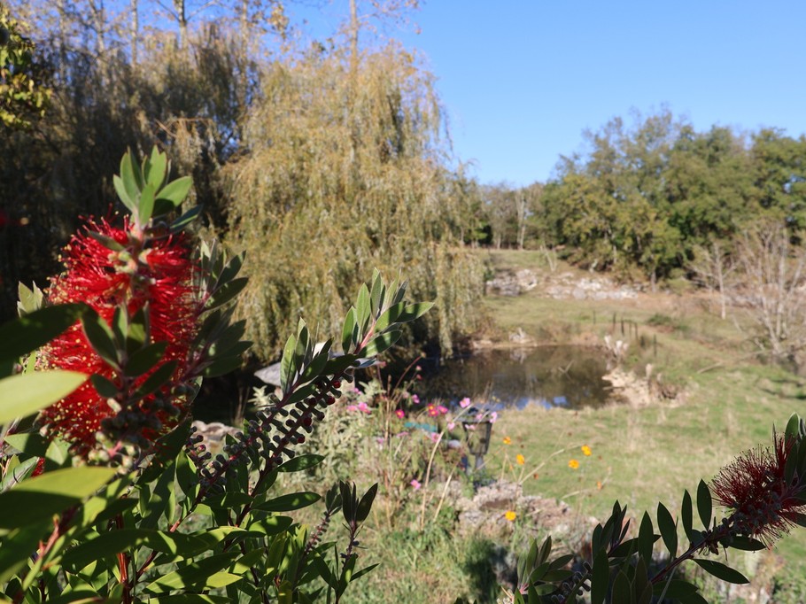 Roulottes & Spa - hébergements insolites - Terra Bulle Lot-et-Garonne