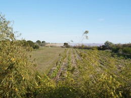 Image n° 2 de la location