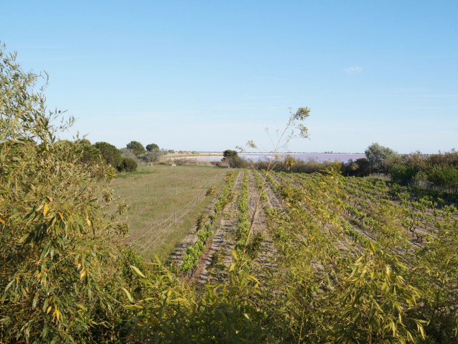 Photo n° 2 de la location