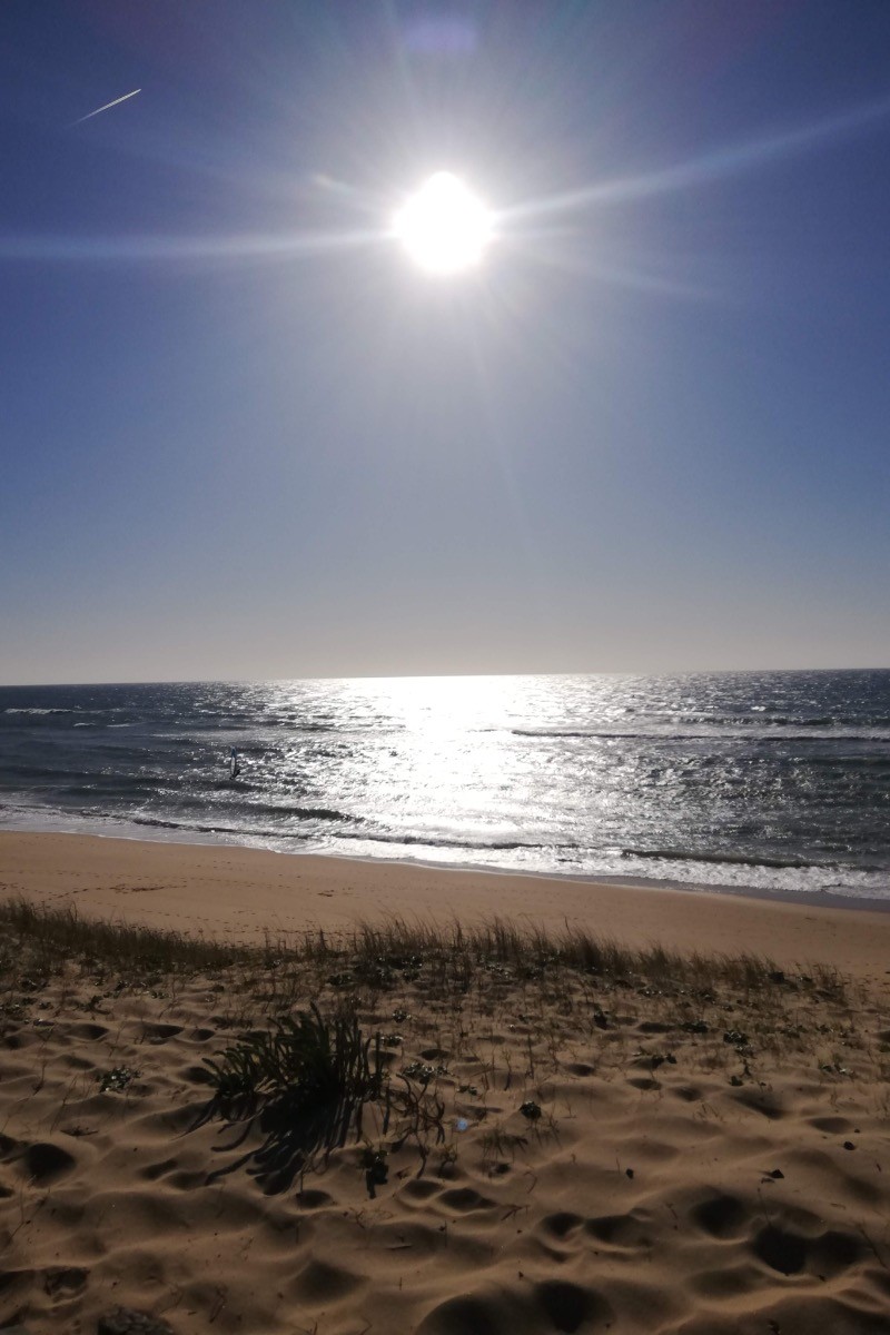 Vue océan Atlantique - Dunes - Surf - La Lette Blanche - La Pinède Guesthouse - Gîte - Vielle-Saint-Girons - Landes -
Crédit photo : Céline