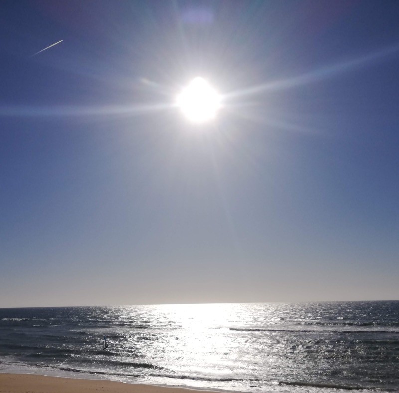 Vue océan Atlantique - Dunes - Surf - La Lette Blanche - La Pinède Guesthouse - Gîte - Vielle-Saint-Girons - Landes -
Crédit photo : Céline