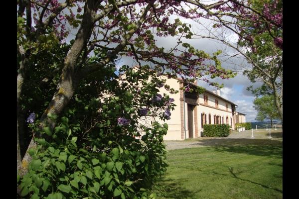 Photo n° 2 de la location