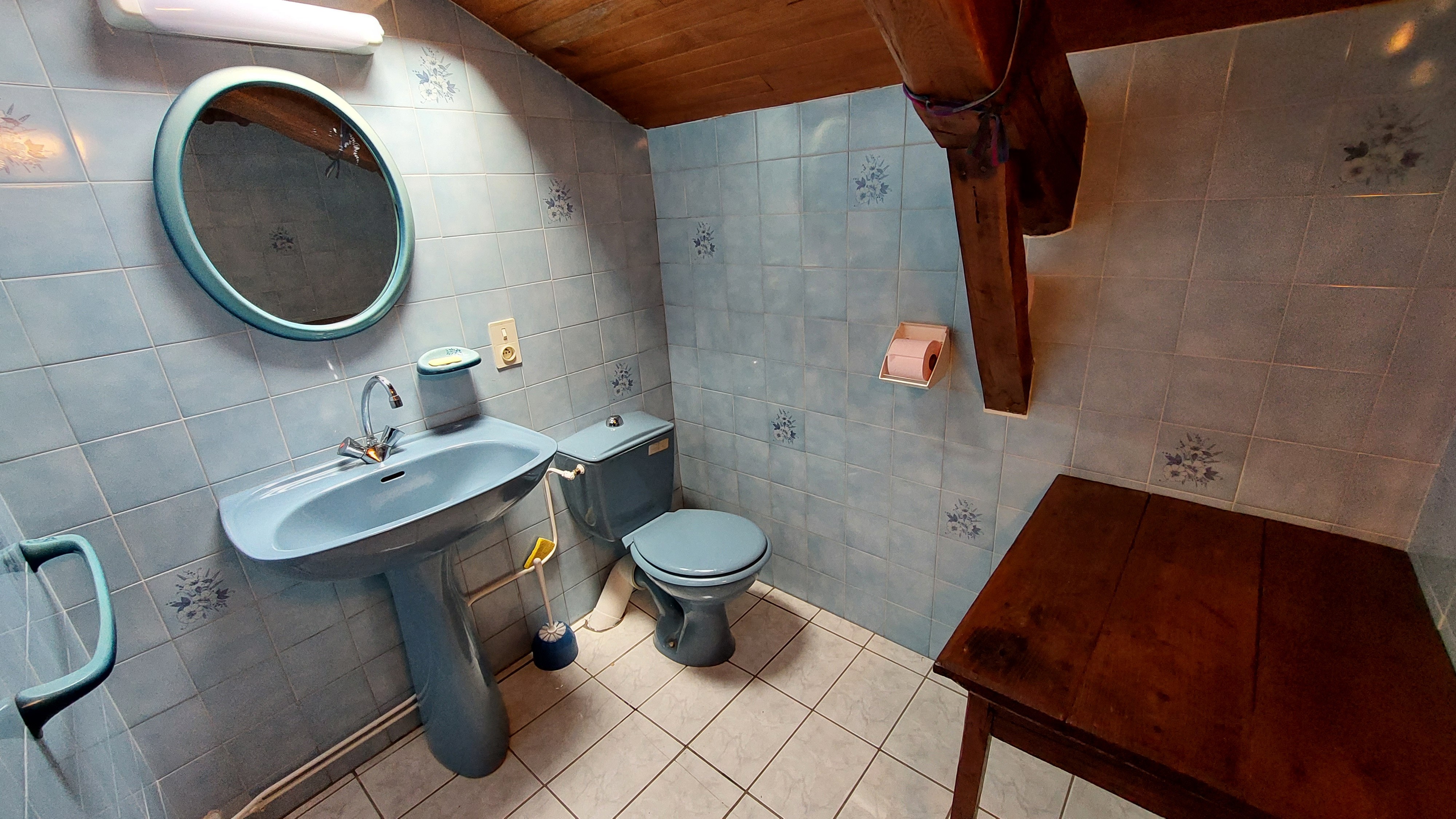 Shower room with washbasin and WC on the first floor of the gîte
