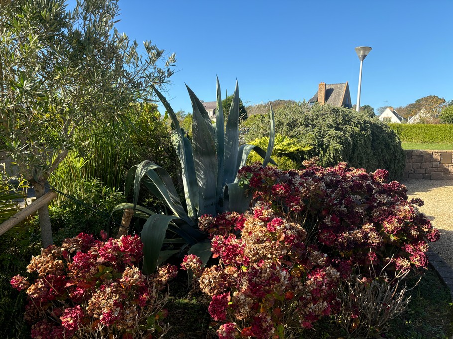 Photo n° 16 of the location