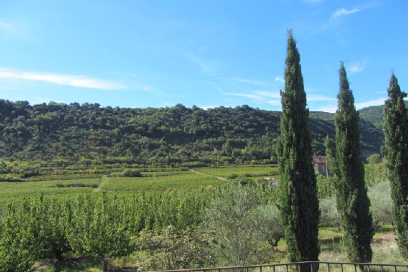 Vue du jardin