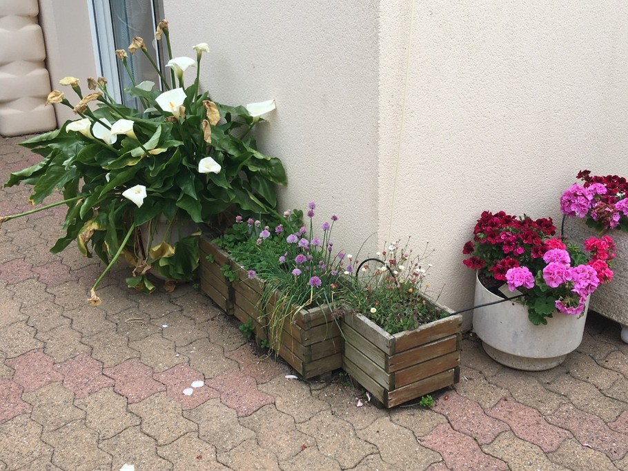 Photo n° 17 de la location