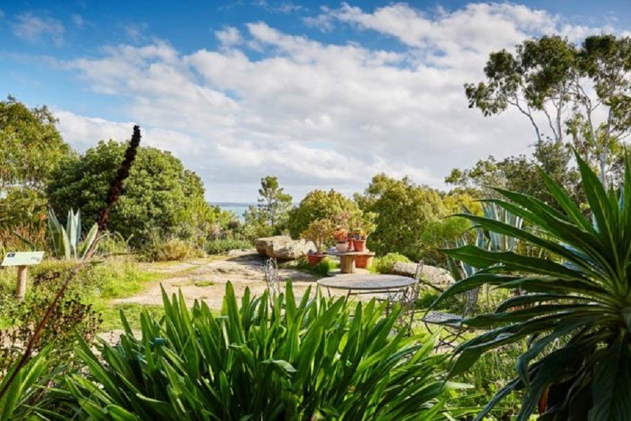 Jardin exotique à Roscoff