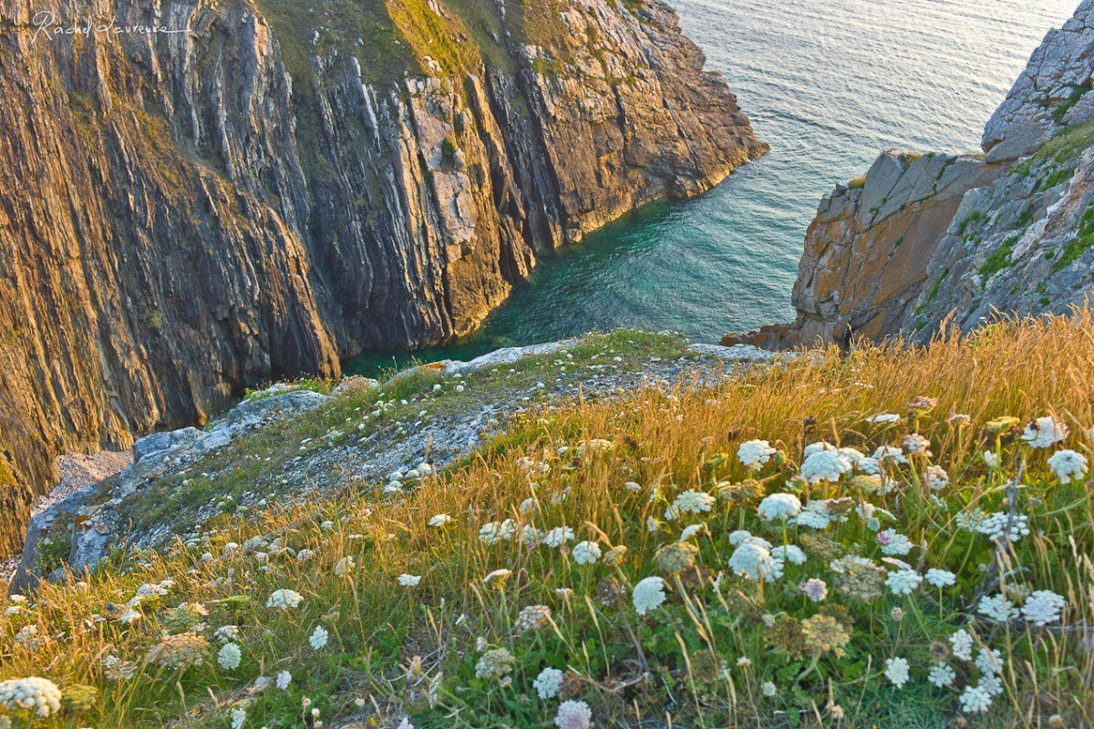 Falaises près de Camaret sur mer