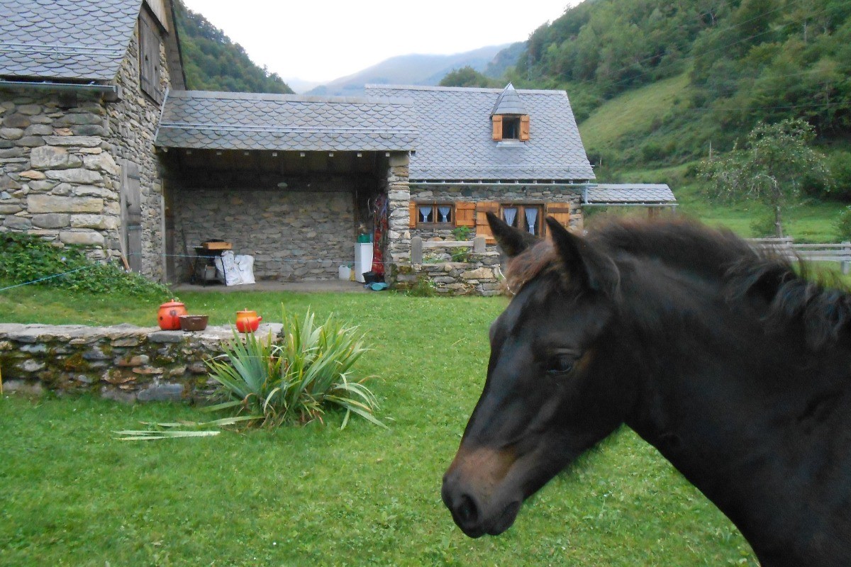 Pouliche agrémente le domaine
