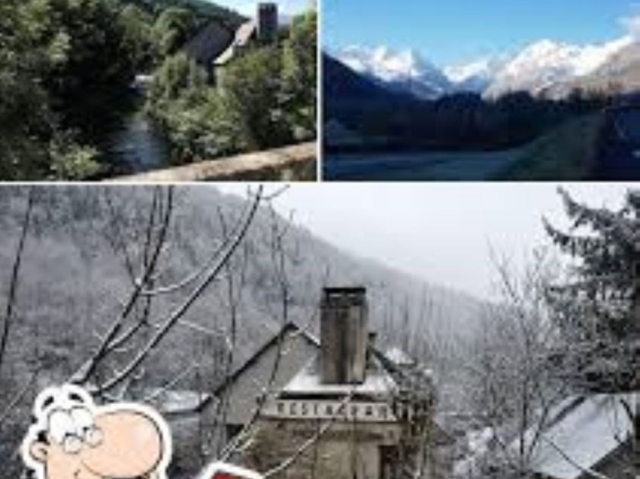 Photo n° 6 de la location