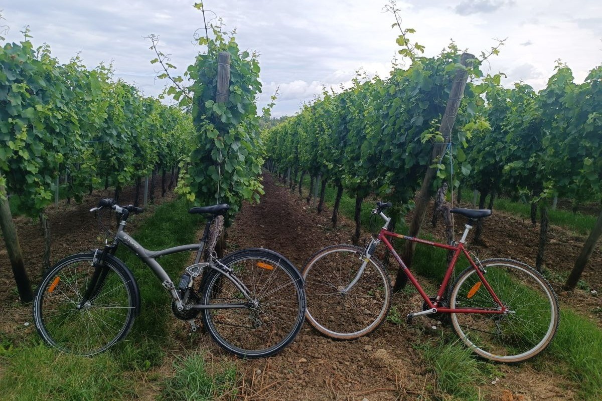 Photo n° 19 de la location