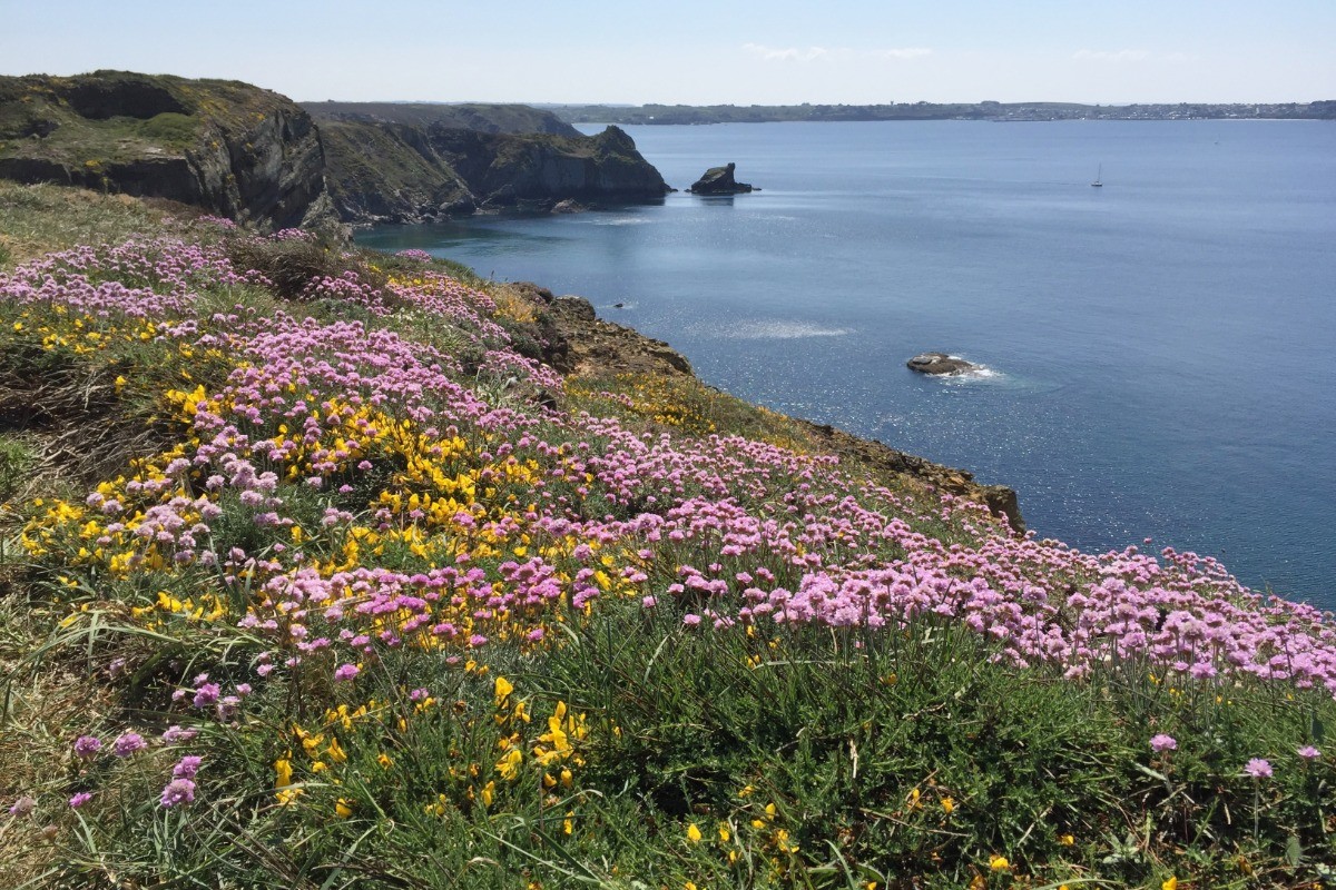 Vue sur Camaret de la falaise des Capucins