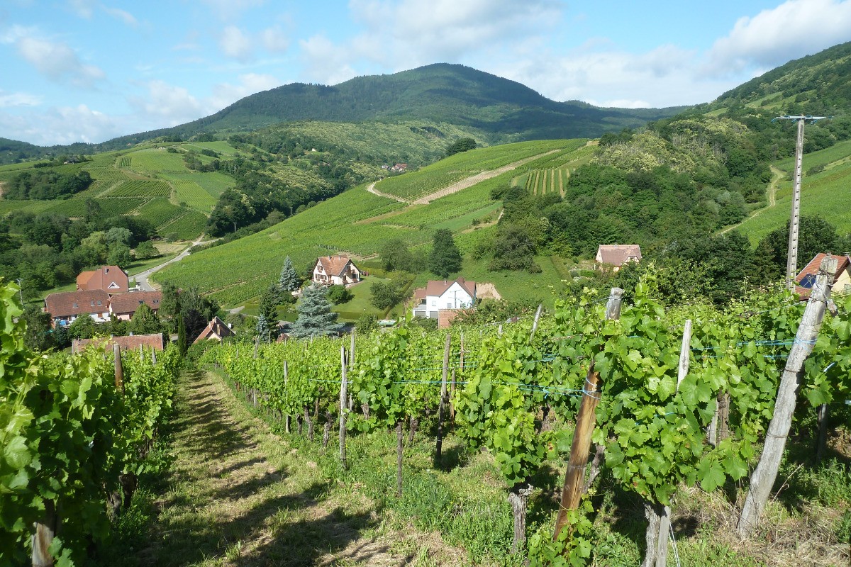 L' Ungersberg