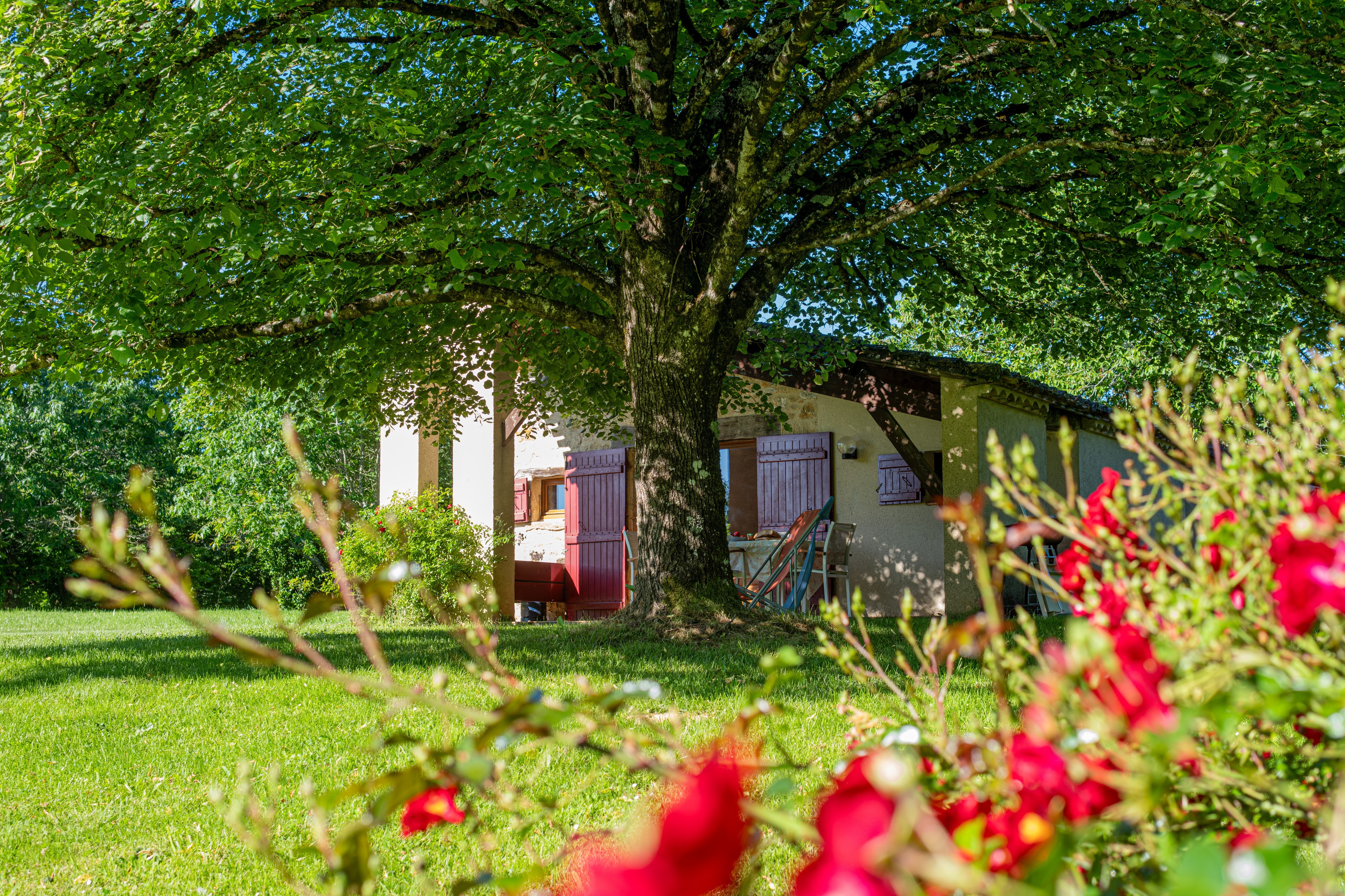 Image n° 4 de la location