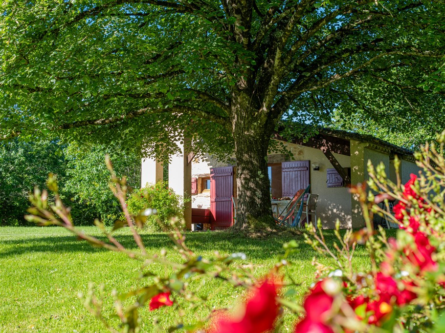 Photo n° 4 of the location