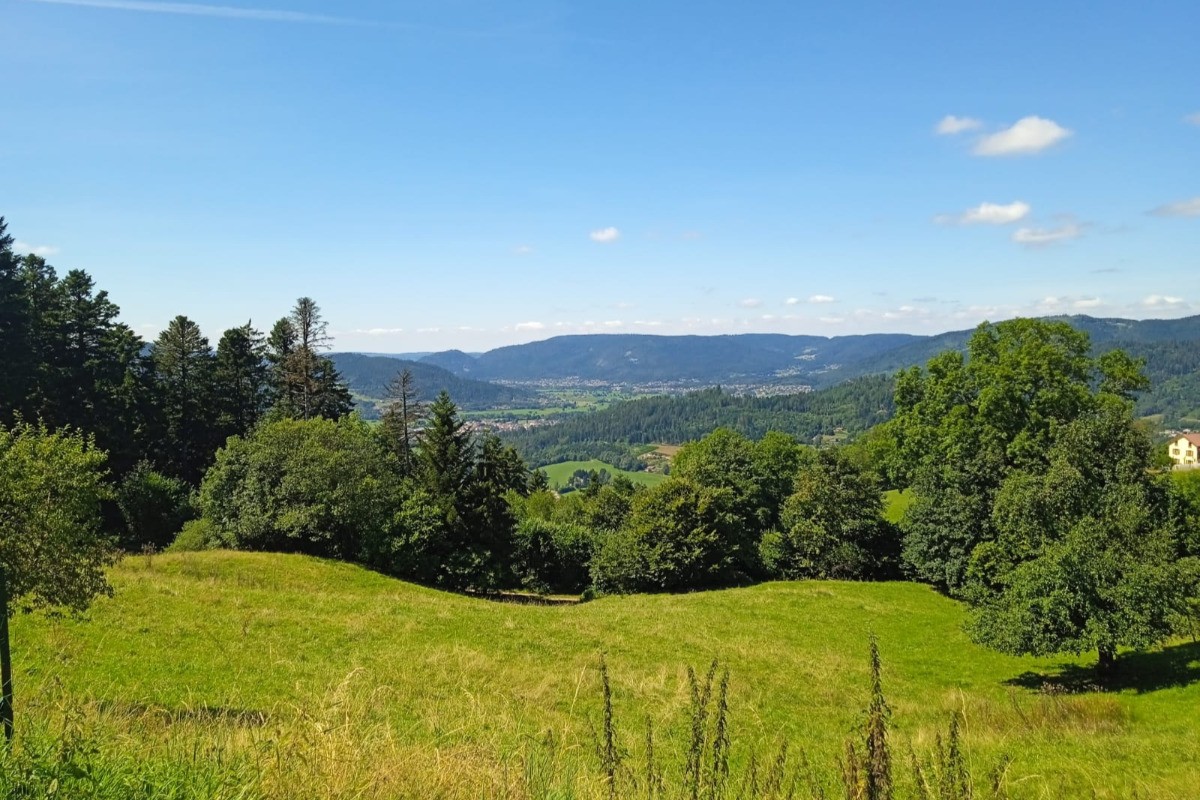 Vue panoramique - Situation idéale, en plein cœur du Parc des Ballons des Vosges