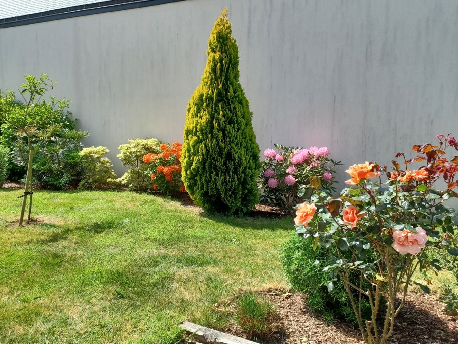 The garden in spring