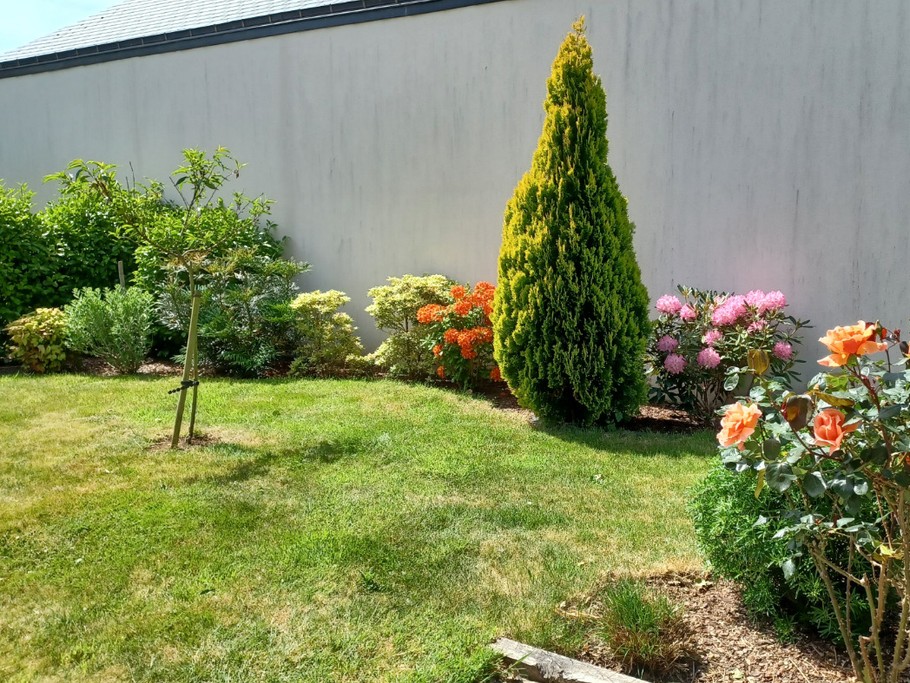 Le jardin au printemps