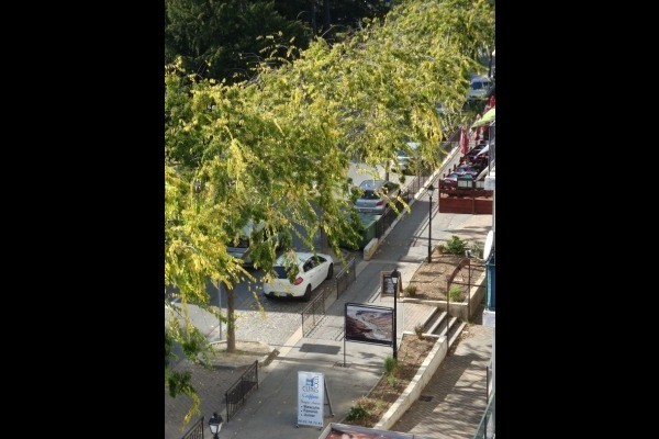 Vue avenue des Thermes La Terrasse du Passy Location de vacances Gréoux-les-Bains