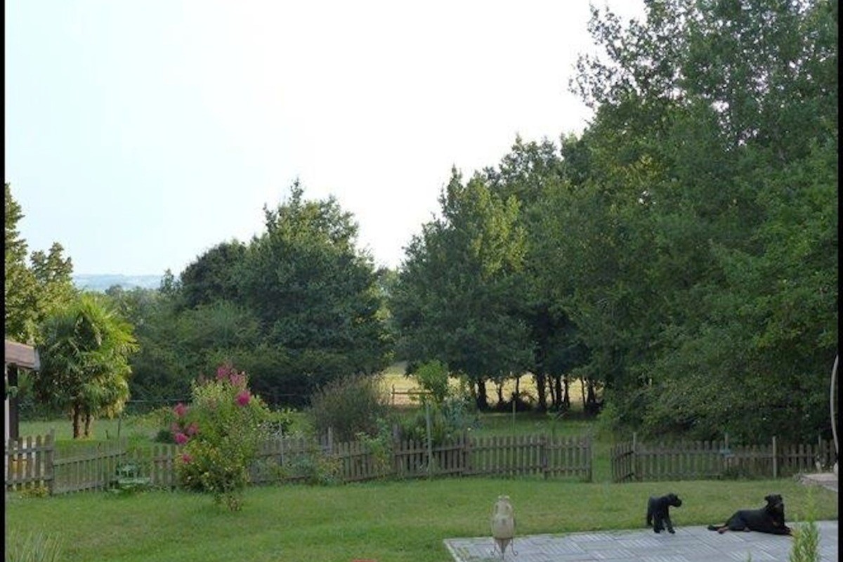 Dans les prés