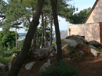 Extérieur sous les pins