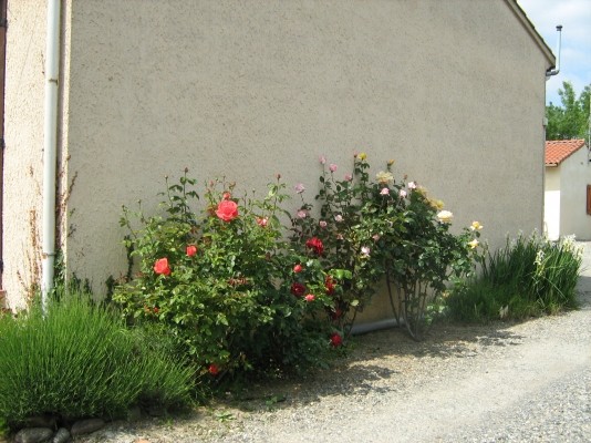 Photo n° 6 of the location