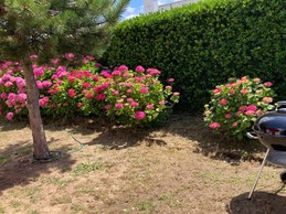 Image n° 3 de la location