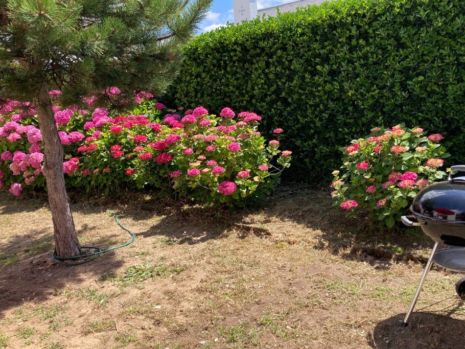 Photo n° 3 de la location