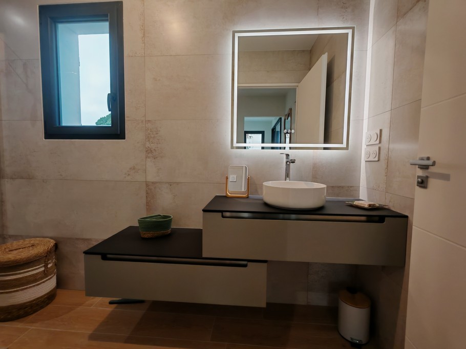 Shower room in master suite