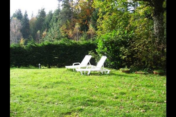 farniente à l'ombre des arbres, à l'orée de la forêt