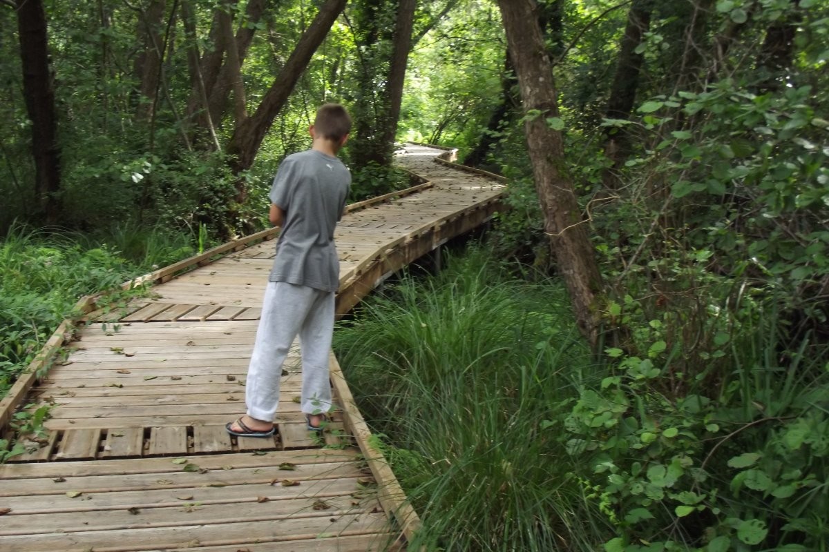 Parcours des marais plan d'eau GROLEJAC