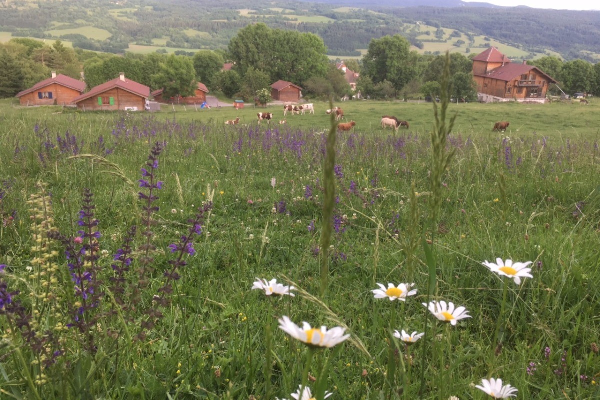 Vue panoramique des chalets