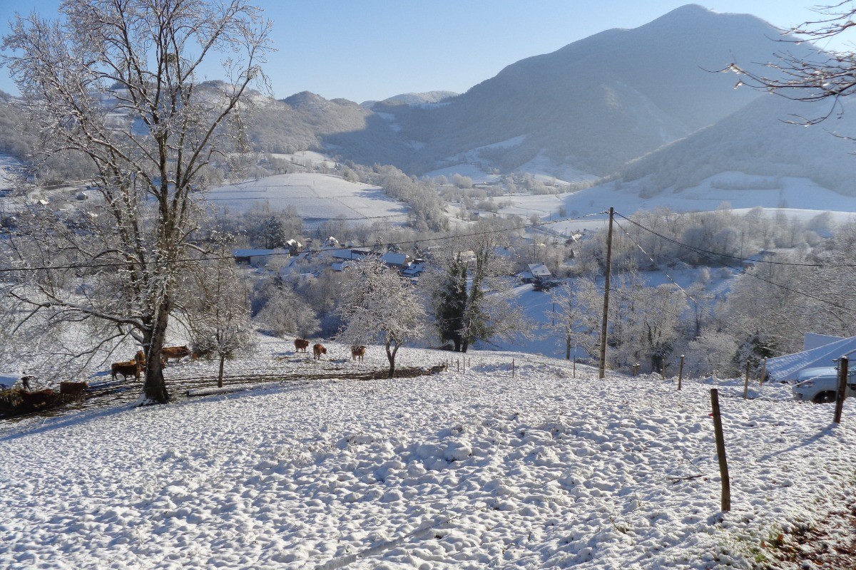 Vue alentour sous la neige