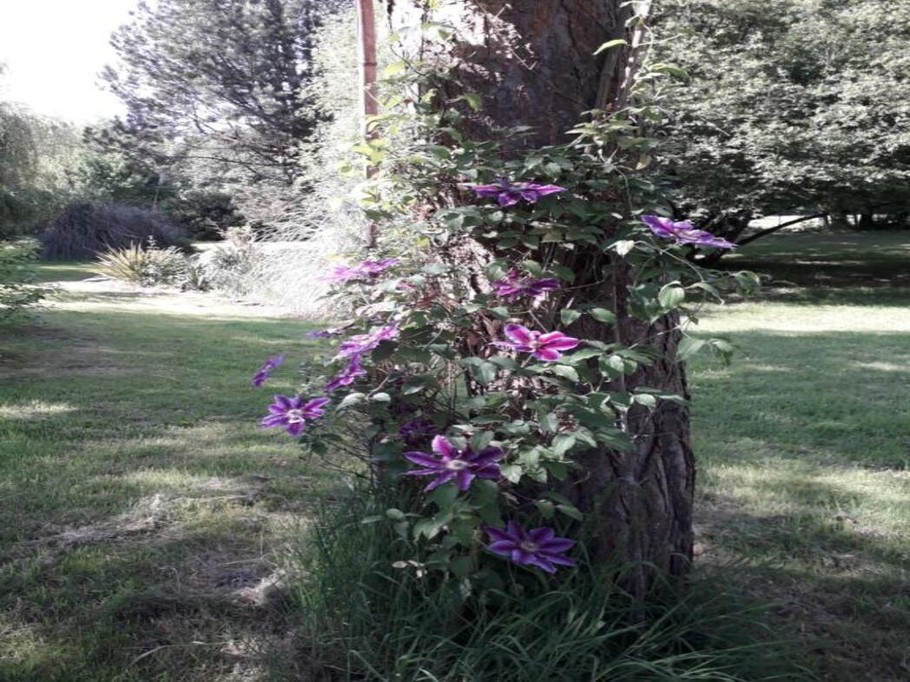 Photo n° 20 of the location